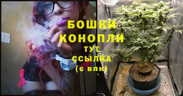 дживик Горнозаводск