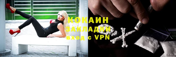 спиды Горно-Алтайск