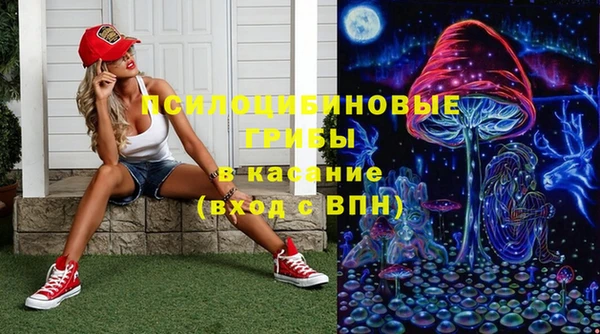 спиды Горно-Алтайск