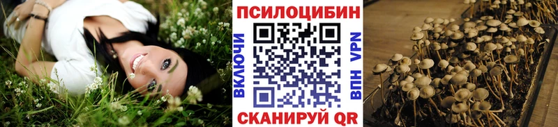 Купить где  Курильск  Псилоцибиновые грибы ЛСД 